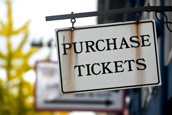 Quelles sont les meilleures techniques pour observer les plantes endémiques en camping?